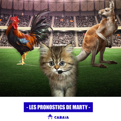 LES PRONOSTICS DE MARTY !